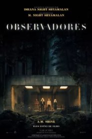 Os Observadores