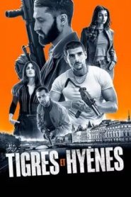 Tigres e Hienas